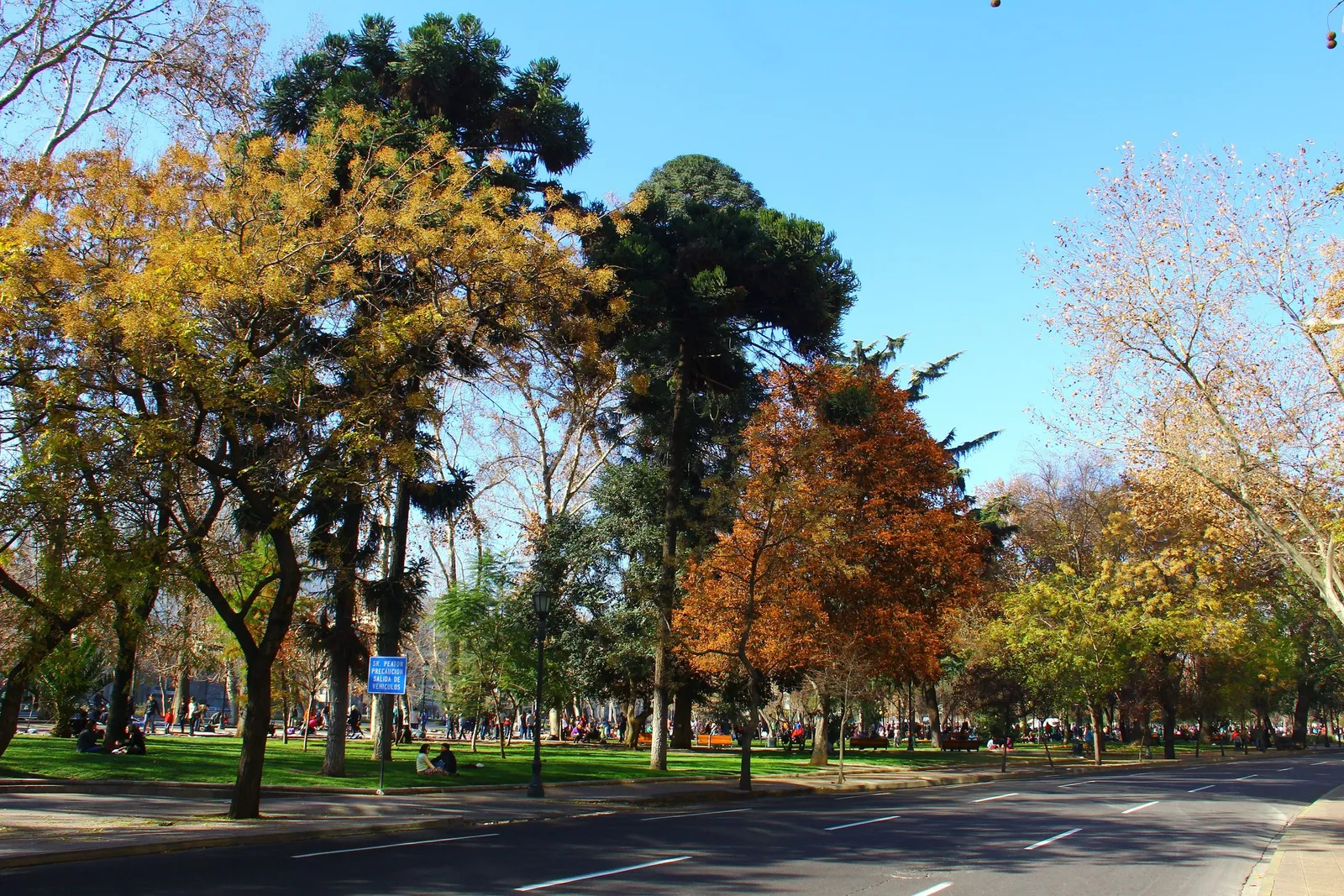 Arboleda y senderos del Parque Forestal, en el centro de Santiago.